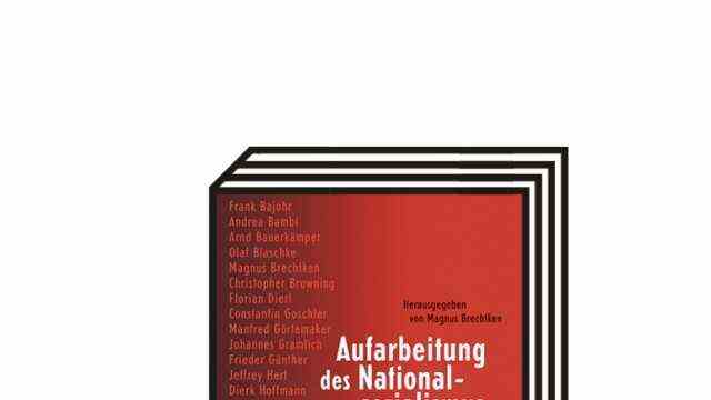 Historiography of the Nazi era: Magnus Brechtken (ed.): Working up the National Socialism.  A compendium.  Wallstein-Verlag, Göttingen 2021. 720 pages.  34 euros.