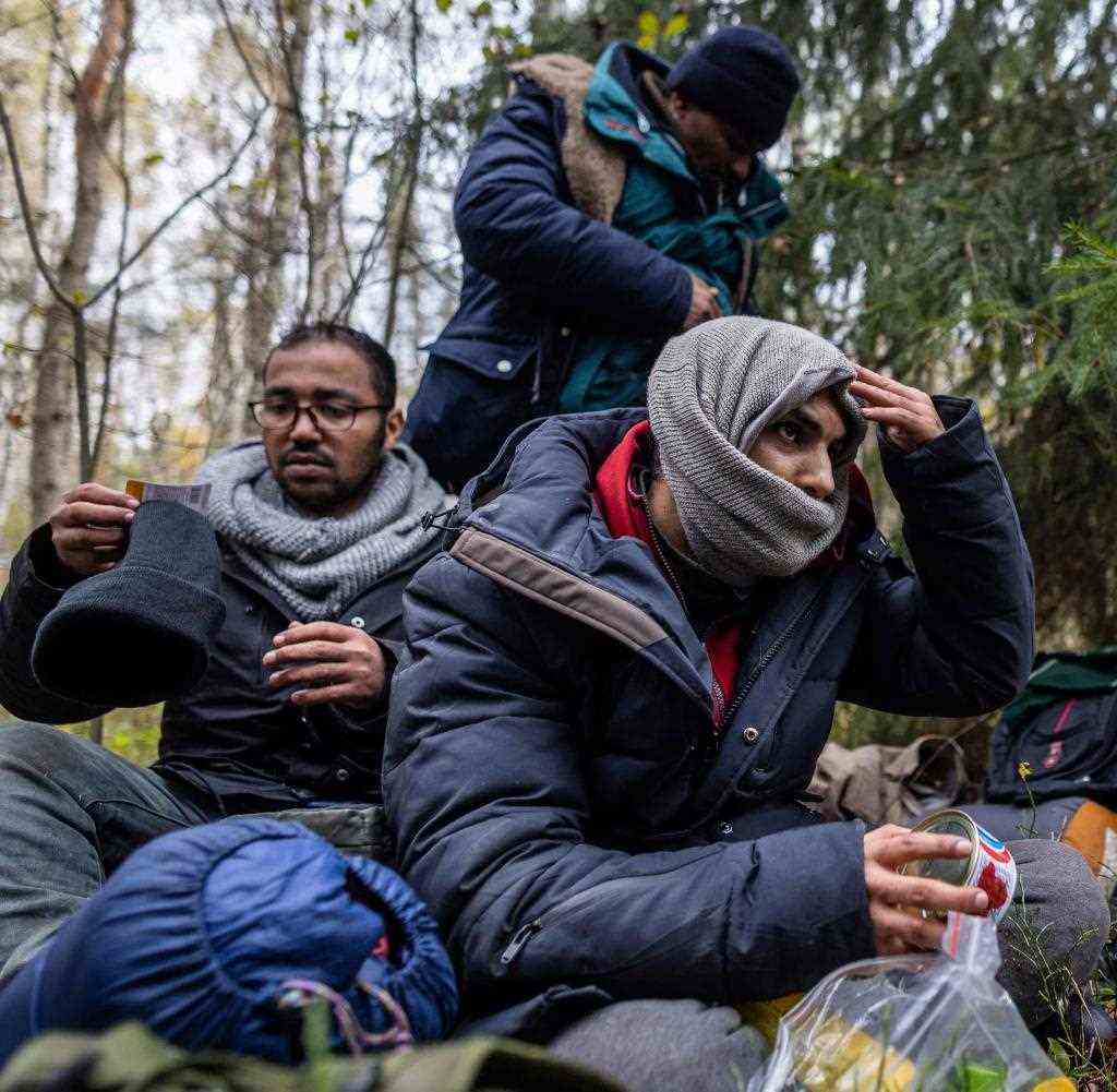 Migrants from Yemen in the Walb near Grodek / Poland