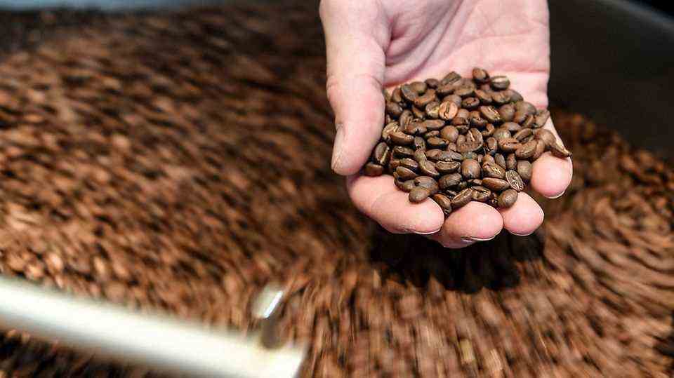 A hand holds coffee beans in the picture.