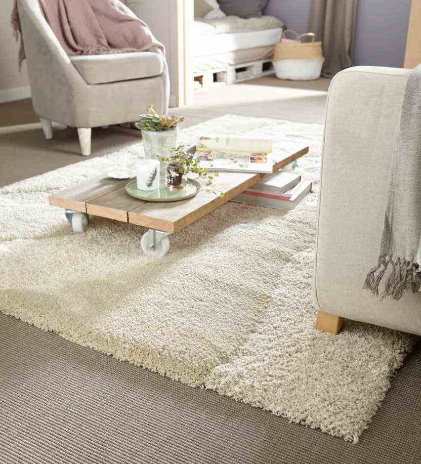 A Carpet In The Living Room 