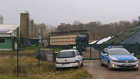 The farm in Lalendorf (Rostock district) affected by the swine fever was cordoned off.  © Stefan Tretropp Photo: Stefan Tretropp