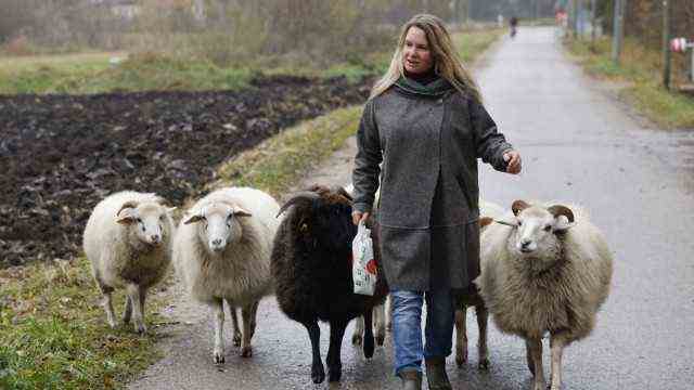 Shepherdess in Freising: Sheep care also includes a walk, which the animals also enjoy.  The coat she wears was made from sheep's wool in traditional Bavarian craftsmanship.