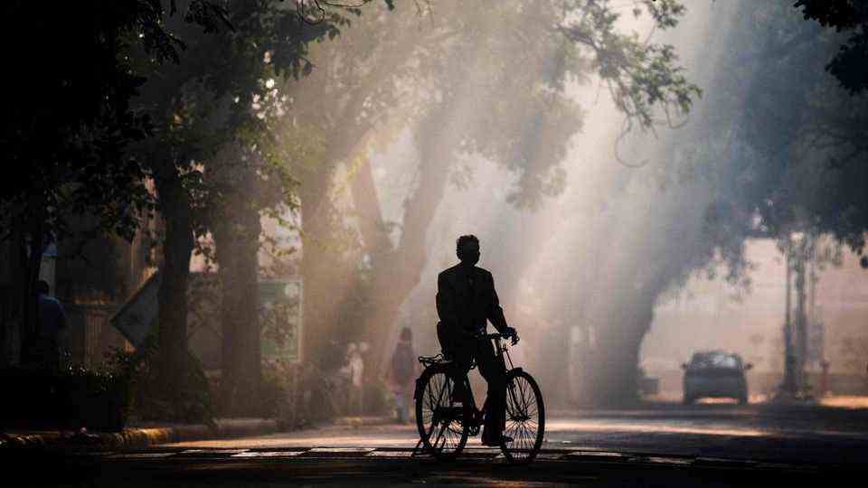 New Delhi, India.  A young man rides under trees on a bicycle while the sun drives away the early morning mist - this is what one might think when looking at this photo.  But it is not early morning fog, but the smog in India's capital that lights up in the sun. 