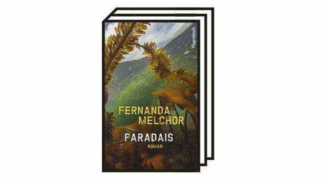 Fernanda Melchor's novel "Paradais": Fernanda Melchor: Paradais.  Novel.  Translated from the Spanish by Angelica Ammar.  Wagenbach, 2021. 144 pages, 18 euros.