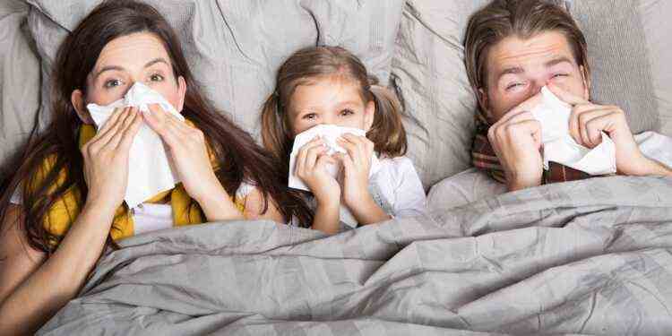 Two adults and a child are lying in bed blowing their noses with a handkerchief.