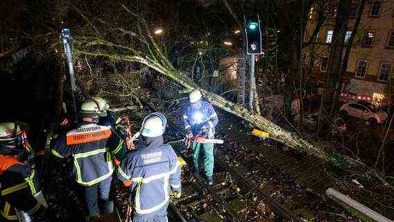 After a storm, firefighters remove a fallen tree from the tracks on Hamburg's Sierichstrasse.  © picture alliance / dpa Photo: Jonas Walzberg