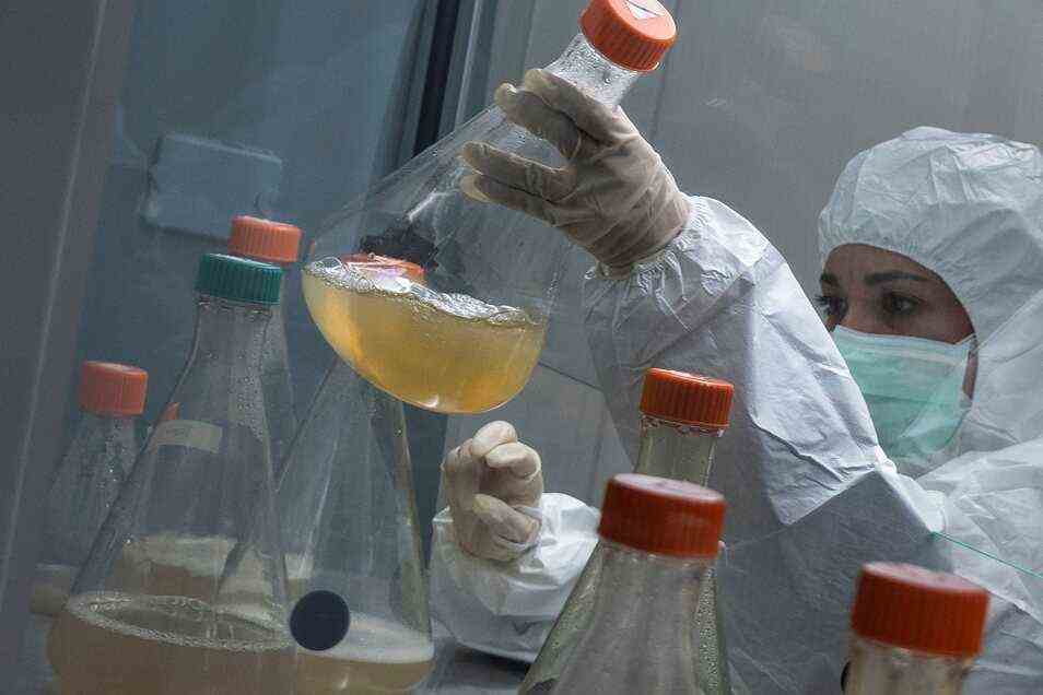 Ein Wissenschaftler arbeitet in einem Labor. Russland hat jetzt wegen der Omikron-Variante ein Labor nach Südafrika geschickt.