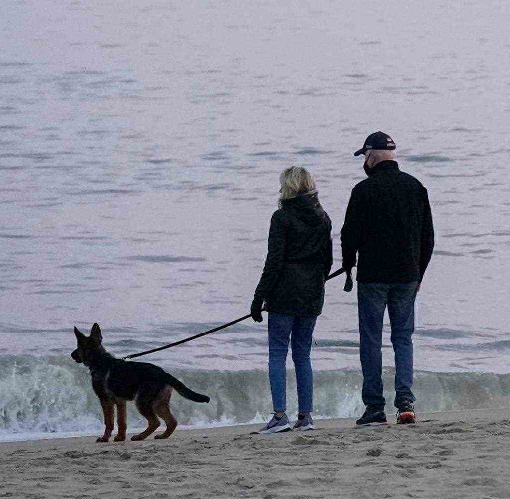 Am Dienstag wurde Joe Biden bei einem Spaziergang mit seiner Gattin Jill und ihrem neuen Schäferhund "Commander" fotografiert