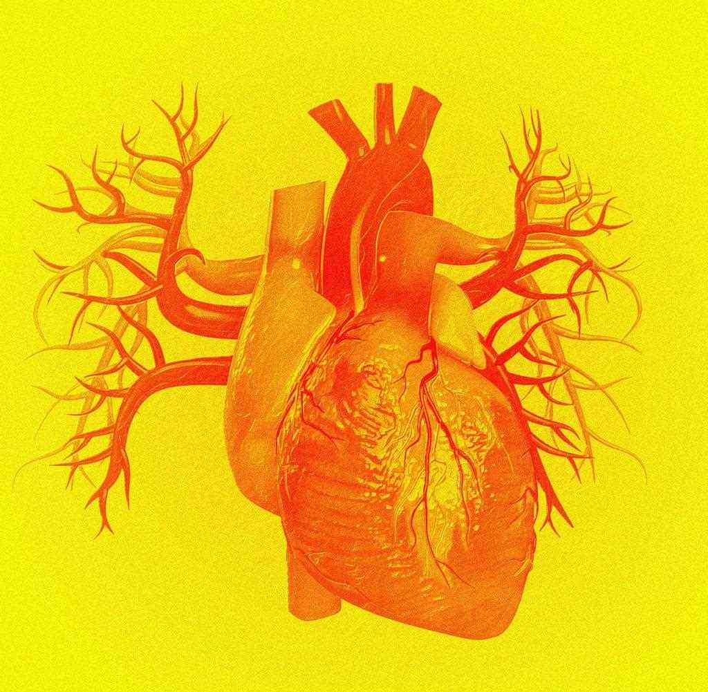 Human heart against yellow background, illustration.
