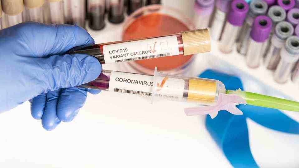 Blood samples with the inscription "Covid19 Variant Omicron"