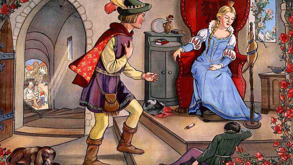 Sleeping Beauty, Snow White and Co.: Infanticide and cannibalism in fairy tales - the hidden messages of the Brothers Grimm