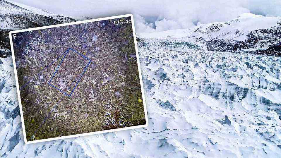 Antarctica: Researchers discover life beneath 190-meter ice shelf