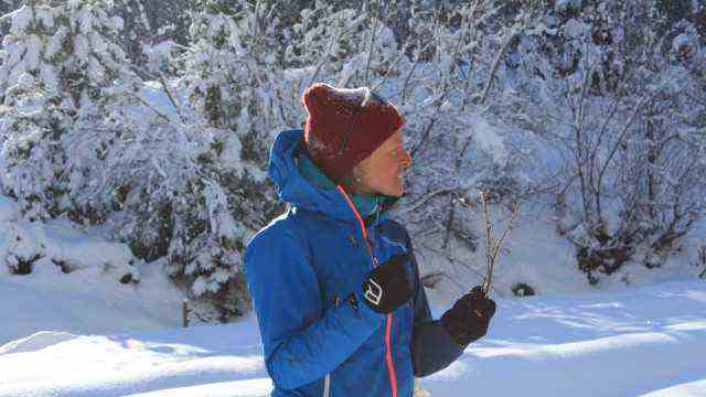 Snowshoeing in Austria: ranger Marina Hausberger shows who nibbled on a branch.  Roe deer are more likely to tear off the fibres, while rabbits bite through the twigs with their sharp teeth.
