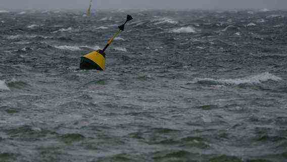 Buoys float in the wind-swept water off the coast of the Baltic Sea.  © picture alliance/dpa |  Axel Heimken Photo: Axel Heimken