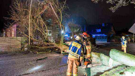 Firefighters cut up a large tree in Reinbek in the Stormarn district that fell on a residential building © dpa - bildfunk Photo: Daniel Bockwoldt