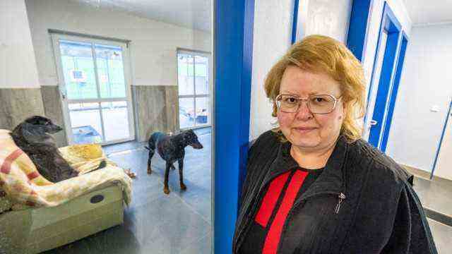 Appeal to politicians: Ilona Wojahn, President of the Bavarian State Association in the German Animal Welfare Association, is in the Quellenhof Passbrunn animal shelter.