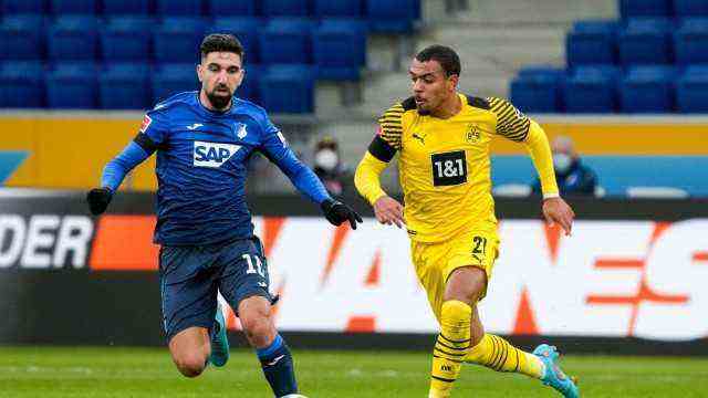Borussia Dortmund: Three assists against TSG: Donyell Malen (to the right of Hoffenheim's Munas Dabbur).