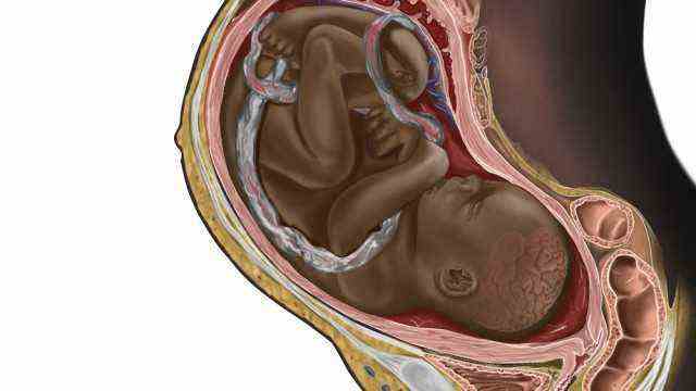 Anatomy: illustration of a black pregnant woman by Nigerian medical student Chidiebere Ibe.