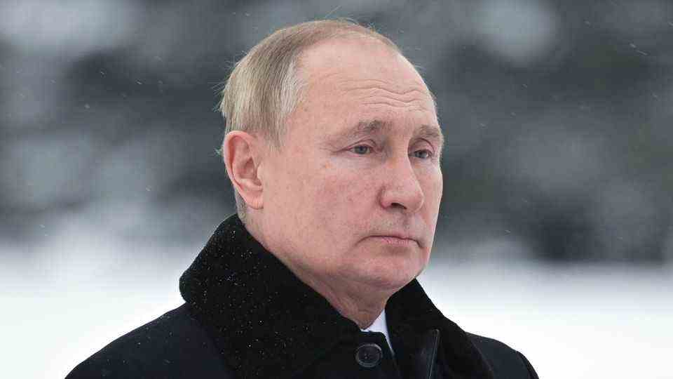 stern expert classifies potential invasion of Putin in Ukraine