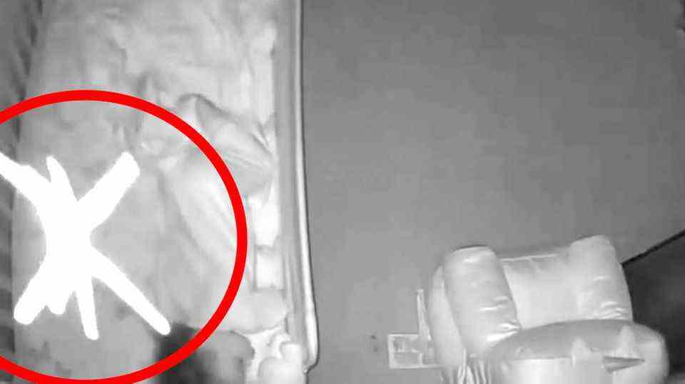 Baby monitor camera shows: large spider abseils down in baby bed