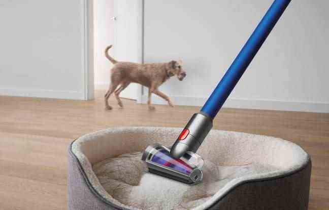 Stick vacuum cleaners are popular with pet owners.