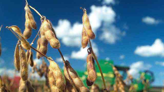 Pesticides: Brazil is one of the world's most important soybean growing regions.  The bulk is exported.