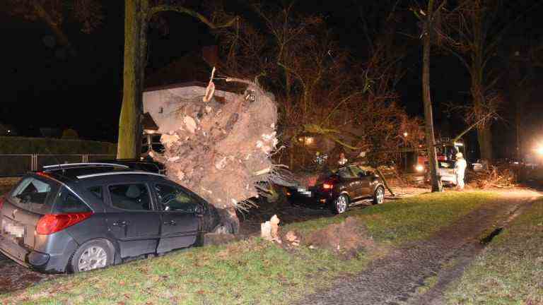 The massive tree buries two cars in Lichtenrade (Photo: spreepicture)