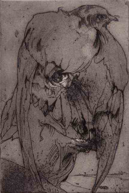 Art in the Allgäu: The etching shows a bird in which Janssen's face appears "Untitled (Self with bird)" from 1973.