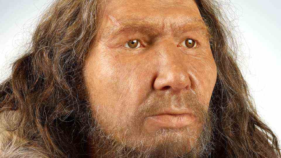 Portrait of a male Neanderthal.