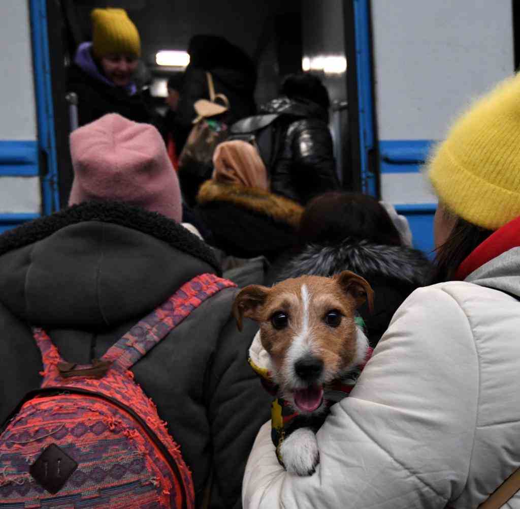 Menschen und ein Hund, die vor der russischen Invasion fliehen, werden durch einen Bahnhof in Lviv (Ukraine) evakuiert