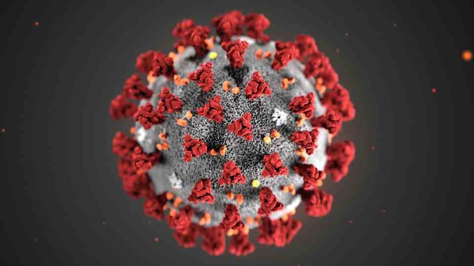 Computer graphics of a coronavirus in gray and red against a black background