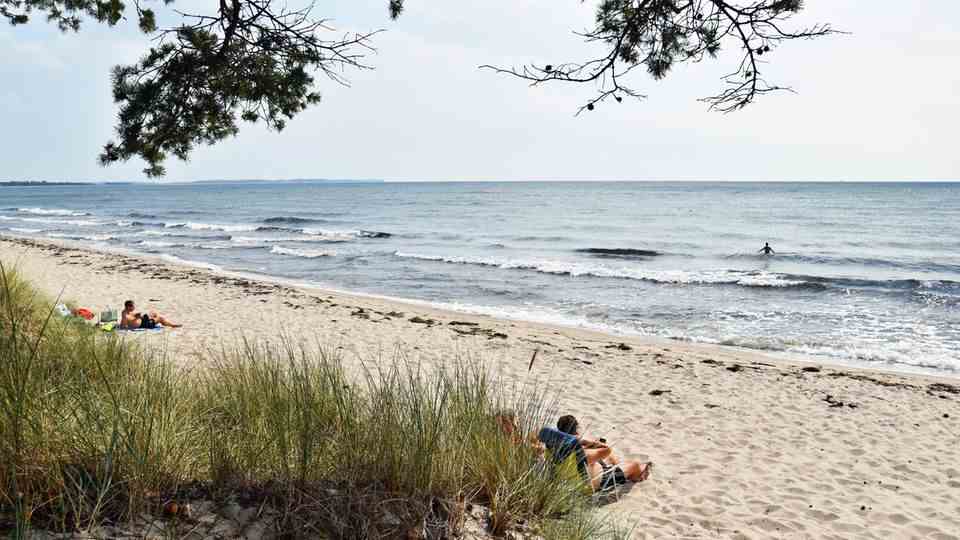 East of Ystad: one of the endless sandy beaches behind the pine forest