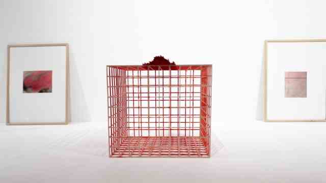 Exhibition: Minimalist, reduced, filigree: cage that proved to be surprisingly versatile in the exhibition.