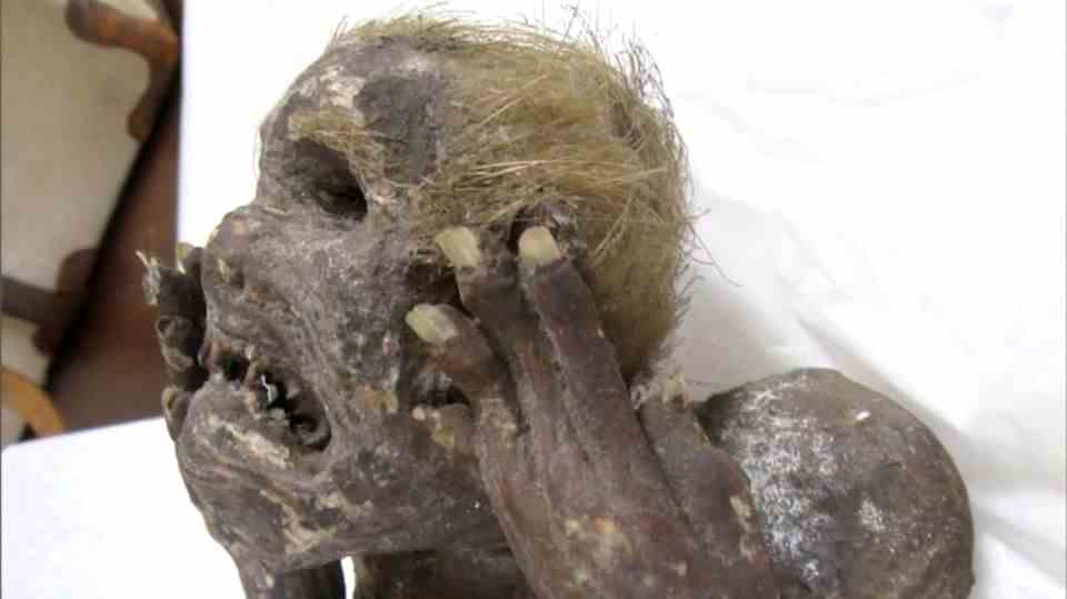 A mummy discovered in Japan looks like a mermaid.