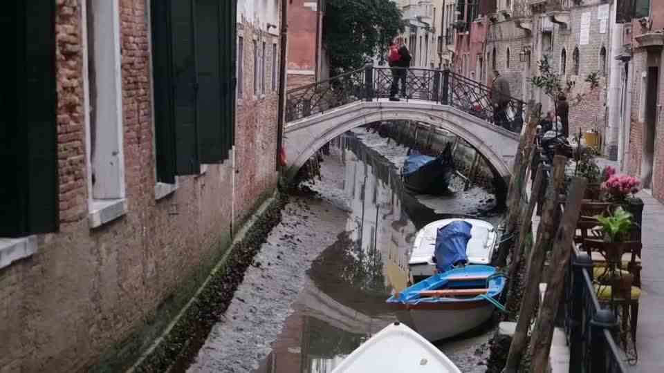 Ravenous birds: fight against seagull plague: hotels in Venice equip guests with water pistols