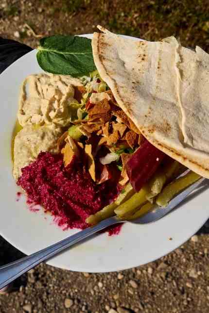 Nutrition: The culinary supply is also used for advertising, there is falafel with vegetables from the Solawi.