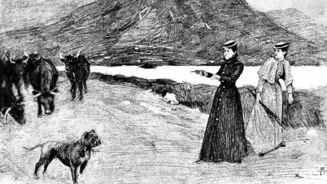 Travel books to Ireland: encounters with mastiffs and cattle - all survived.  The illustrations are by Edith Œnone Somerville, Violet Florence Martin published under the male pseudonym Martin Ross.