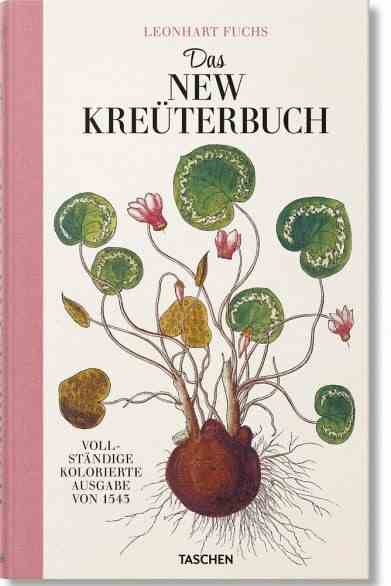 Having and being: That "New Kreuterbuch" by the Bavarian scholar Leonhart Fuchs from 1543 is considered a milestone in botany.