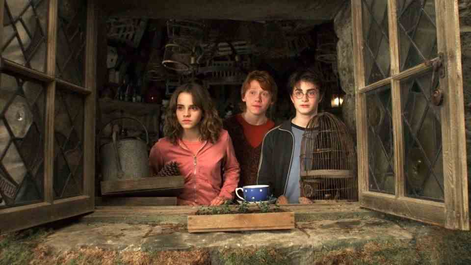Three magic students in Hagrid's hut