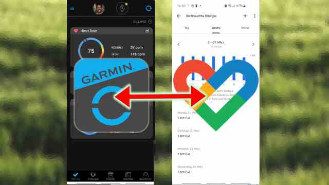 Connect Garmin Connect to Google Fit: Here's how