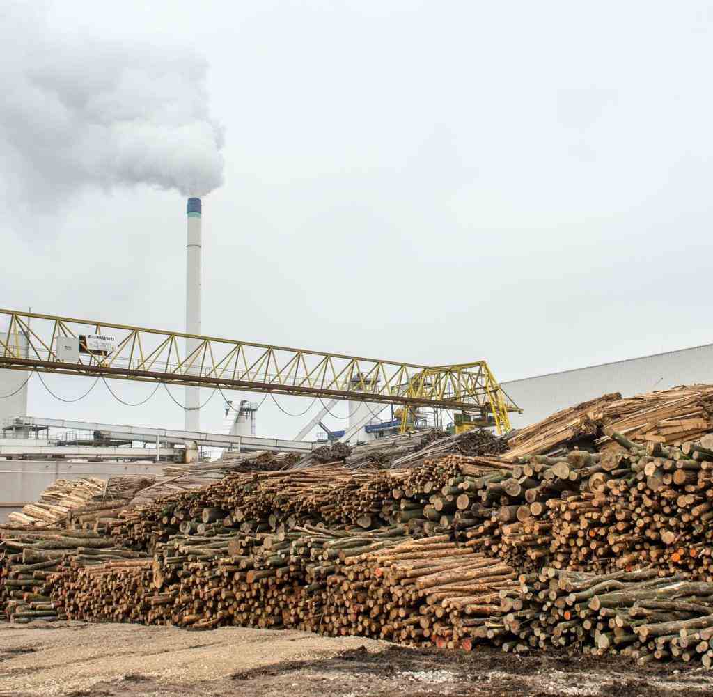 Der Gesamtverband Deutscher Holzhandel warnt aufgrund der Handelsbeschränkungen mit Russland vor längeren Wartezeiten