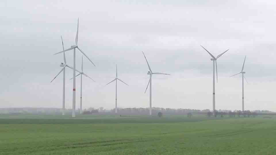 USA: Wind farm kills at least 150 eagles – company has to pay millions in fines