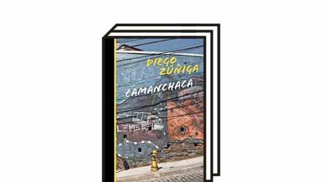 Diego Zúñiga's novel "Camanchaca": Diego Zúñiga: Camanchaca.  Novel.  Translated from the Spanish by Luise von Berenberg.  Berenberg Verlag, Berlin 2022. 120 pages, 22 euros.