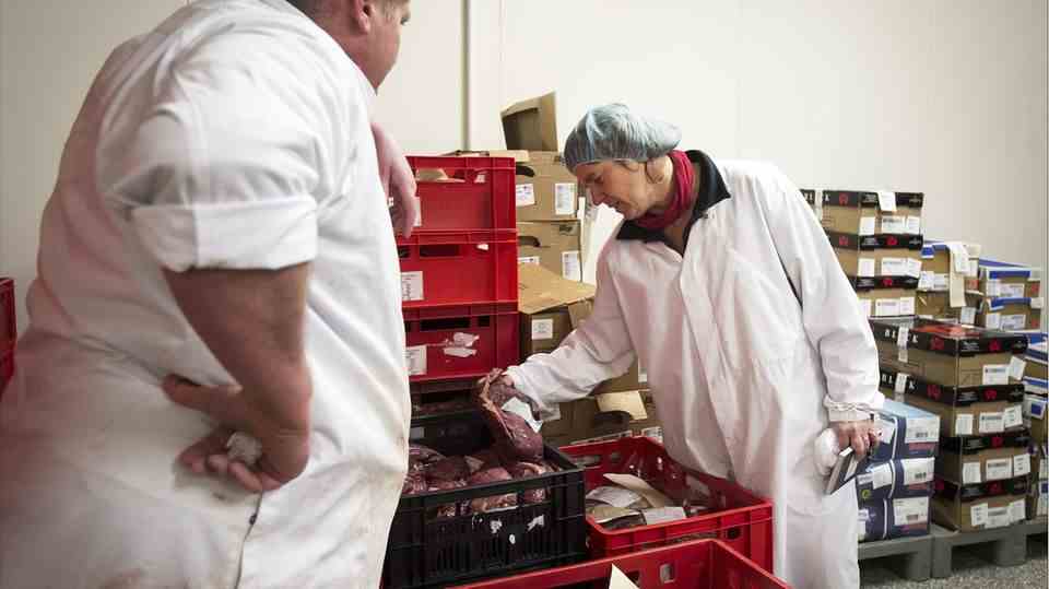 Food inspectors inspecting meat