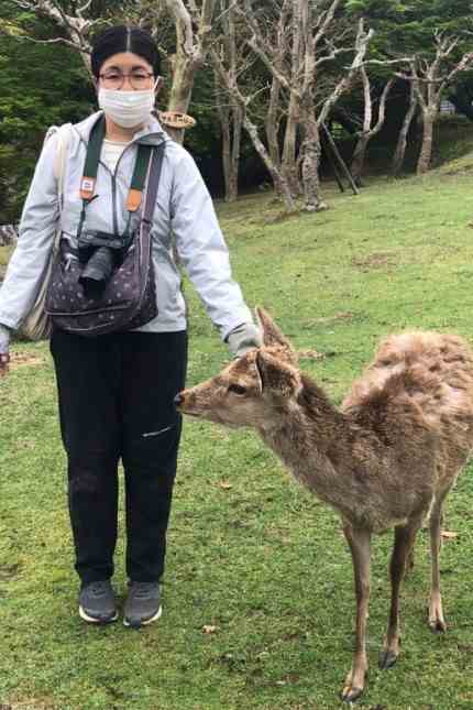 Tourism in Japan: Yukako Oka from Nara is convinced that the city's famous deer can do very well without tourists.