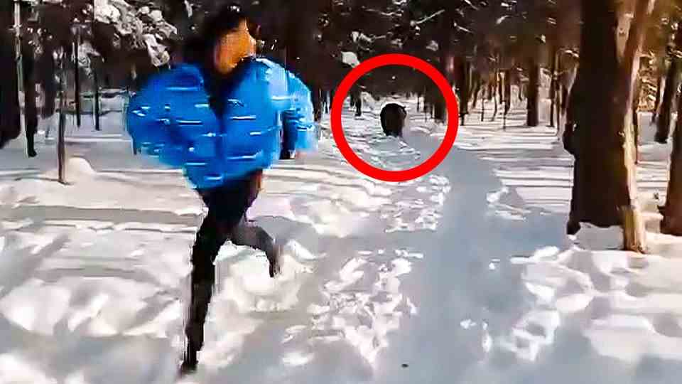 Bear chases man through forest – is the incredible viral video a fake?