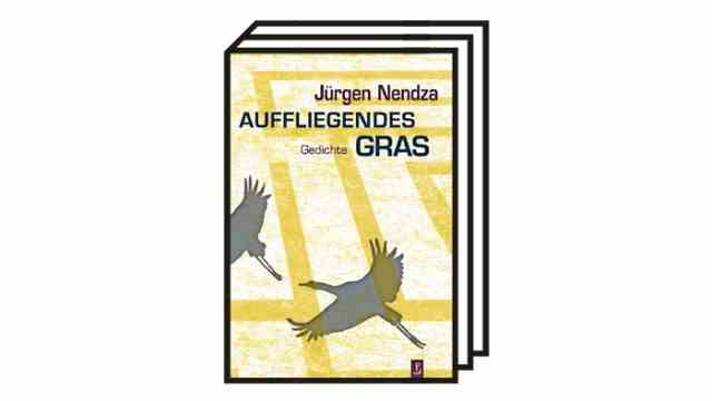 Jurgen Nendza: "flying grass": Jürgen Nendza: Flying grass.  poems.  Verlag Poetenladen, Leipzig 2022. 72 pages, 19 euros.