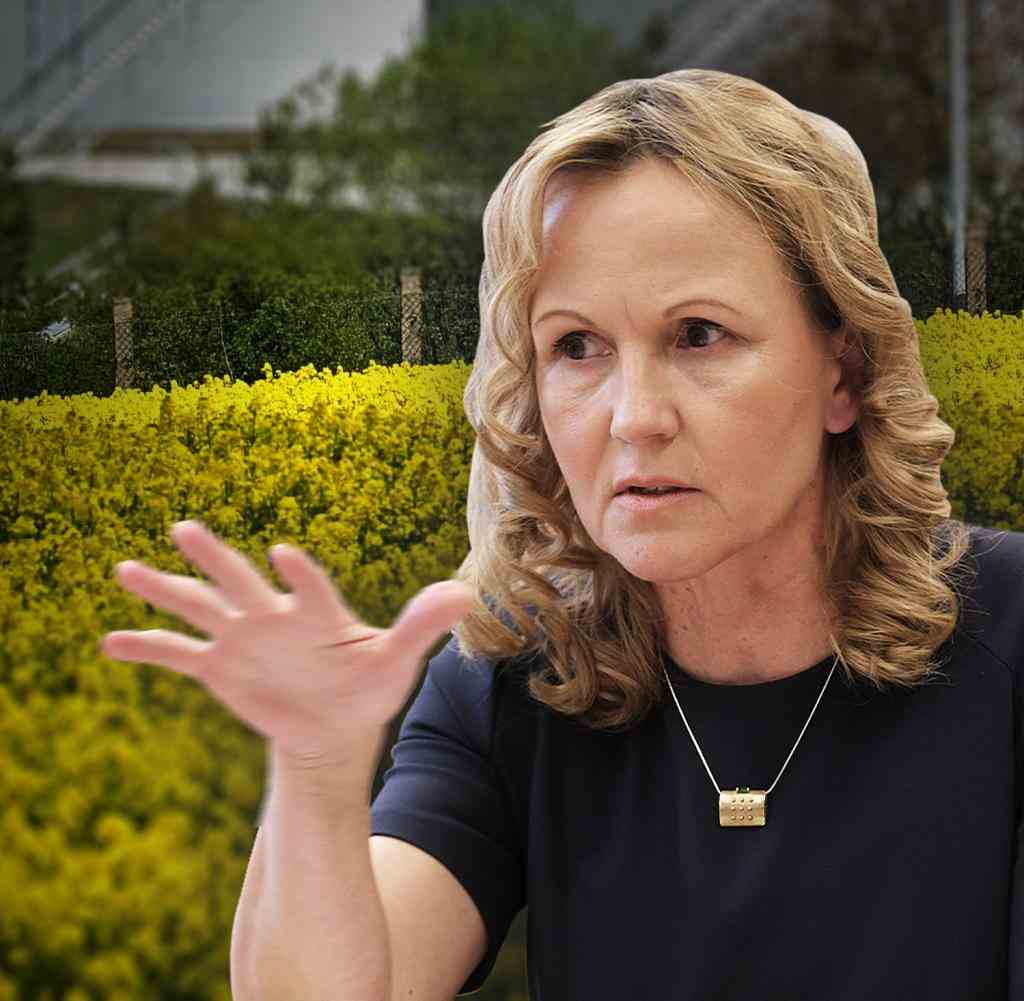 Bundesumweltministerin Steffi Lemke (Grüne)