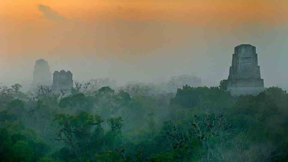 Maya Temple of Tikal