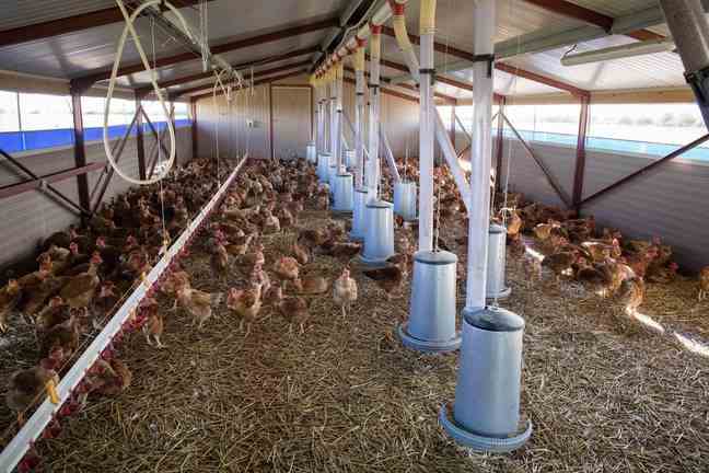 A chicken farm. 